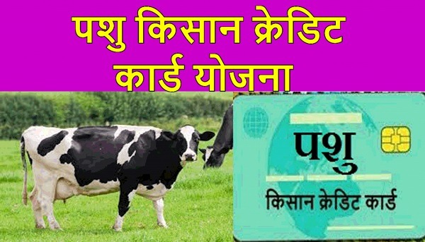 Pashu Kisan Credit Card Yojna पशु किसान क्रेडिट कार्ड ONLINE Form